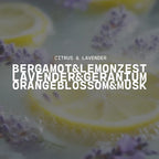 Citrus & Lavender - 22oz Butter Jar Candle