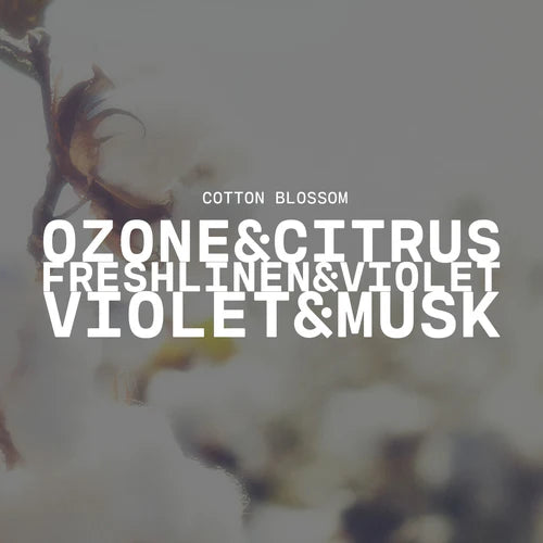 Cotton Blossom - 22oz Butter Jar Candle